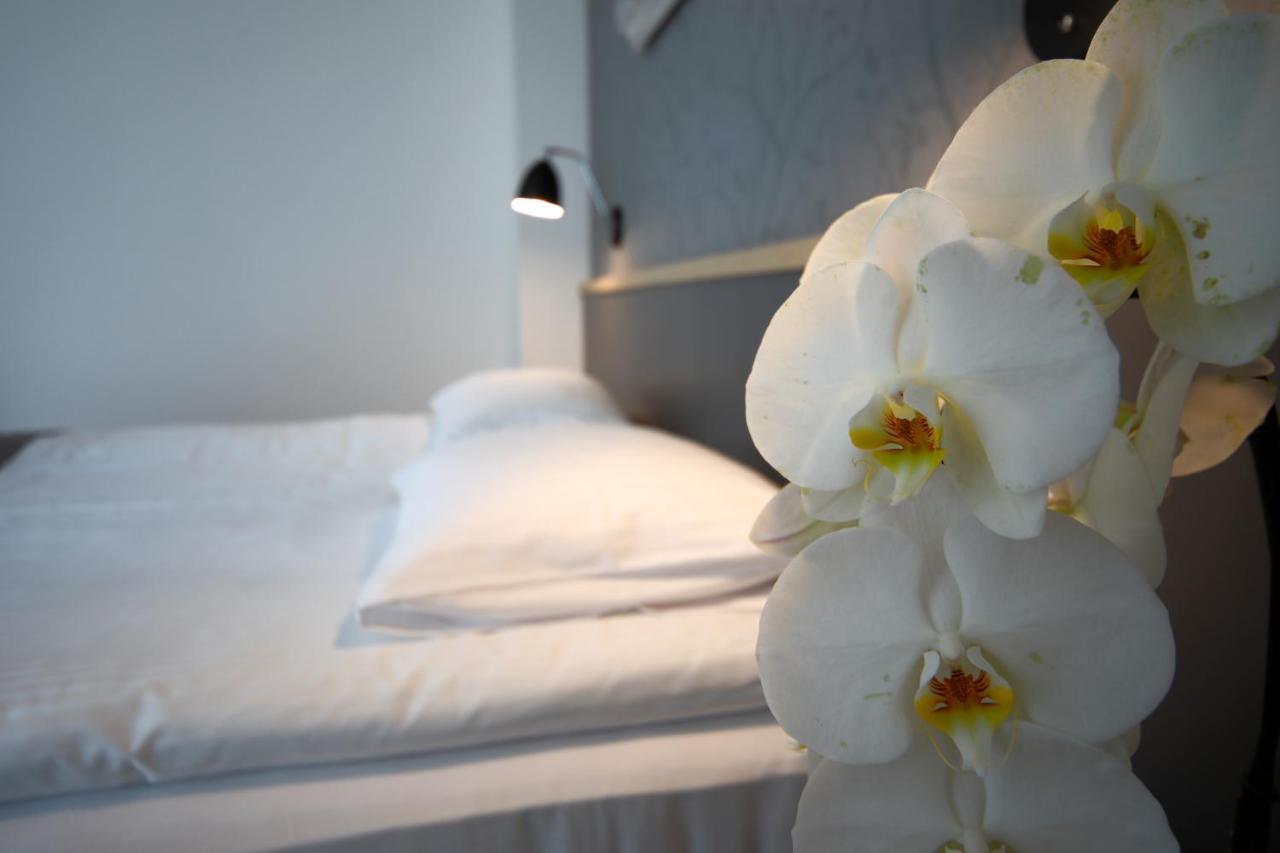 Osrodek Turystyczny Warzenko Hotel Eksteriør billede